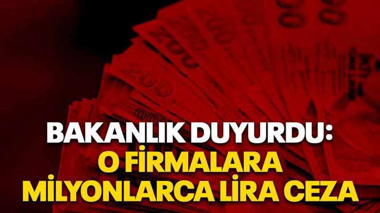 Bakanlık duyurdu: O firmalara Milyonlarca lira ceza