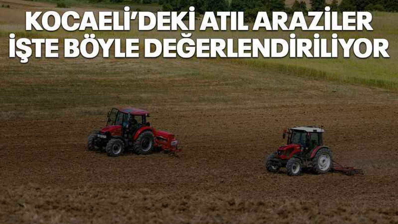 Kocaeli’deki atıl araziler işte böyle değerlendiriliyor