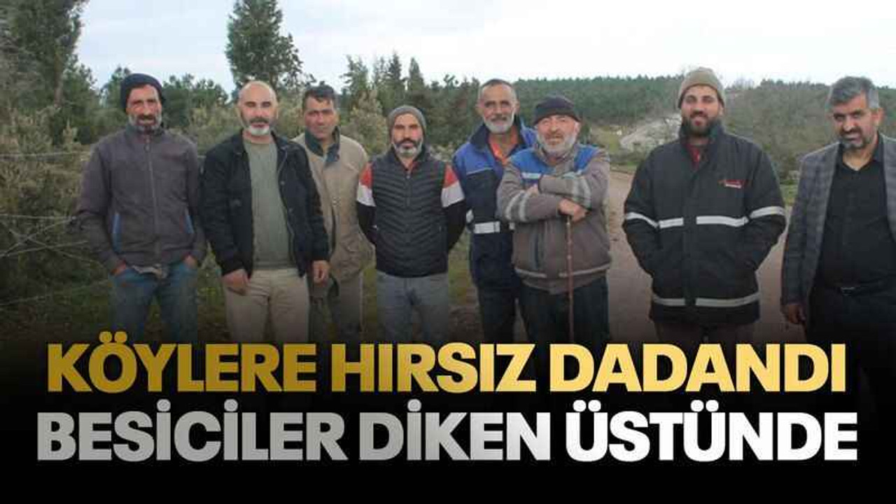 Köylere hırsız dadandı, besiciler diken üstünde