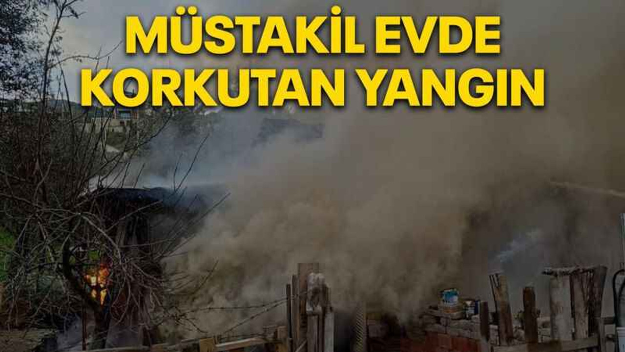 Geri dönüşüm deposu ve 5 iş yerinin küle döndüğü yangında 1 kişi öldü