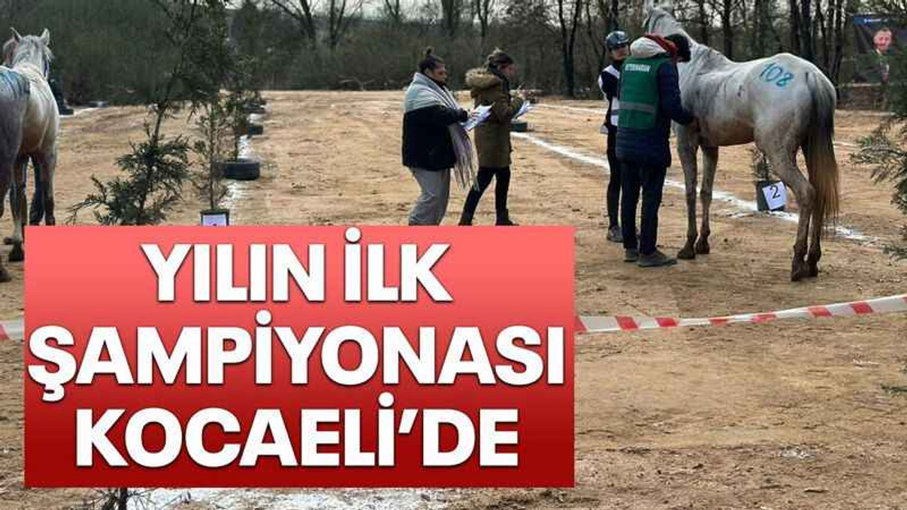 Yılın ilk şampiyonası Kocaeli’de