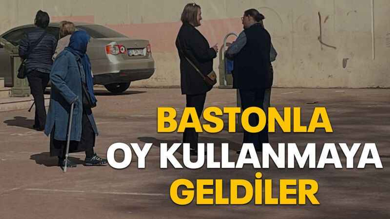 Bastonla oy kullanmaya geldiler