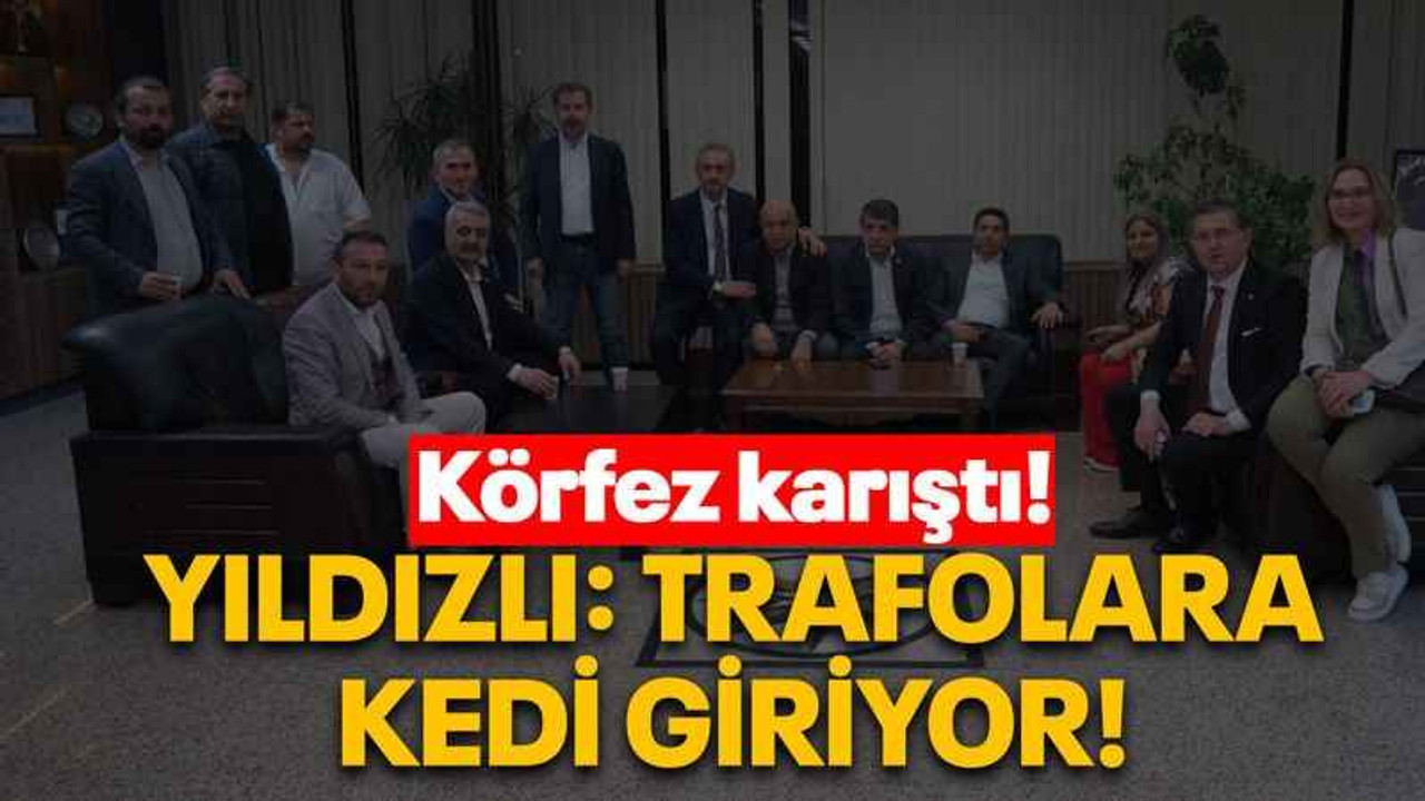 Körfez karıştı! Yıldızlı: Trafolara kedi giriyor!