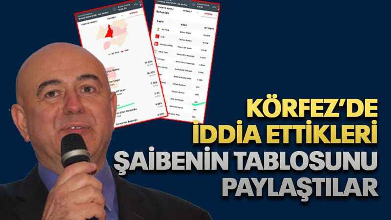 Körfez’de iddia ettikleri şaibenin tablosunu paylaştılar