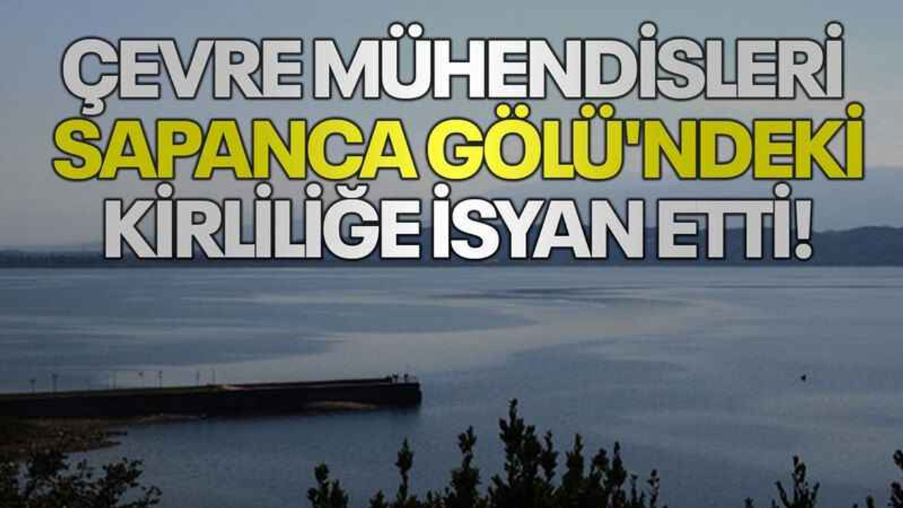 Çevre Mühendisleri Sapanca Gölü'ndeki kirliliğe isyan etti!