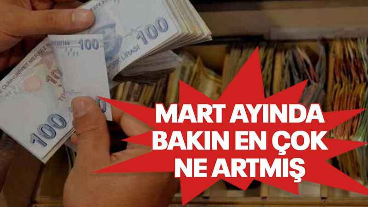 Mart ayında bakın en çok ne artmış