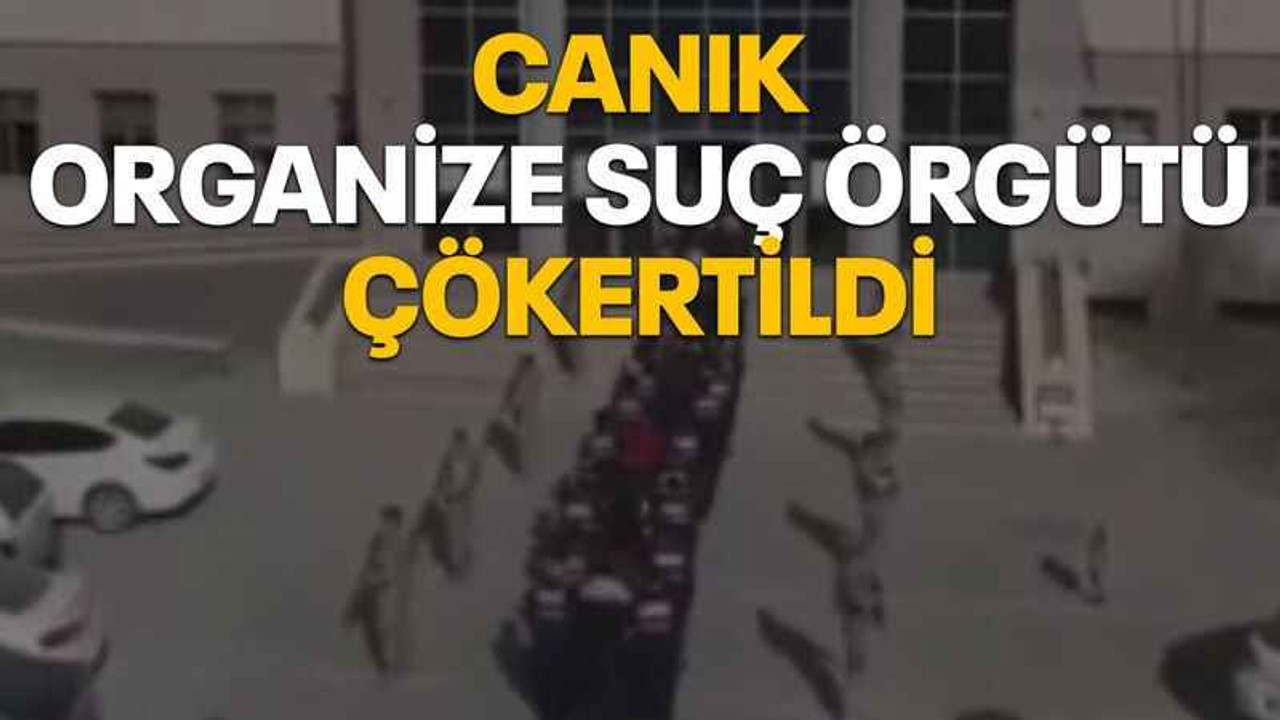 Canık organize suç örgütü çökertildi