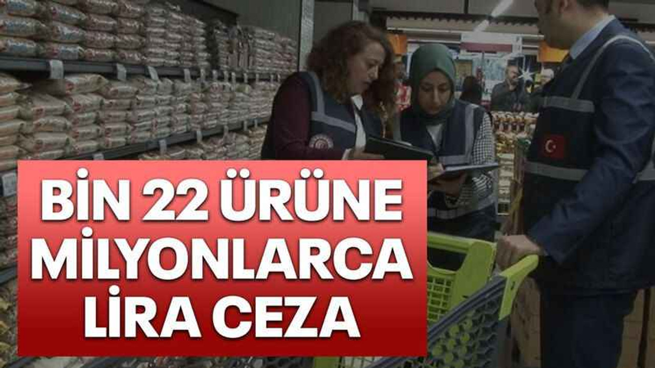 Bin 22 ürüne milyonlarca lira ceza