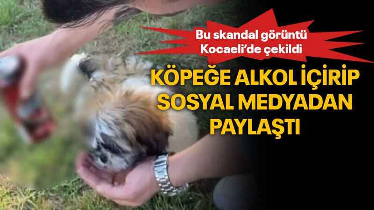 Köpeğe alkol içirip sosyal medyadan paylaştı