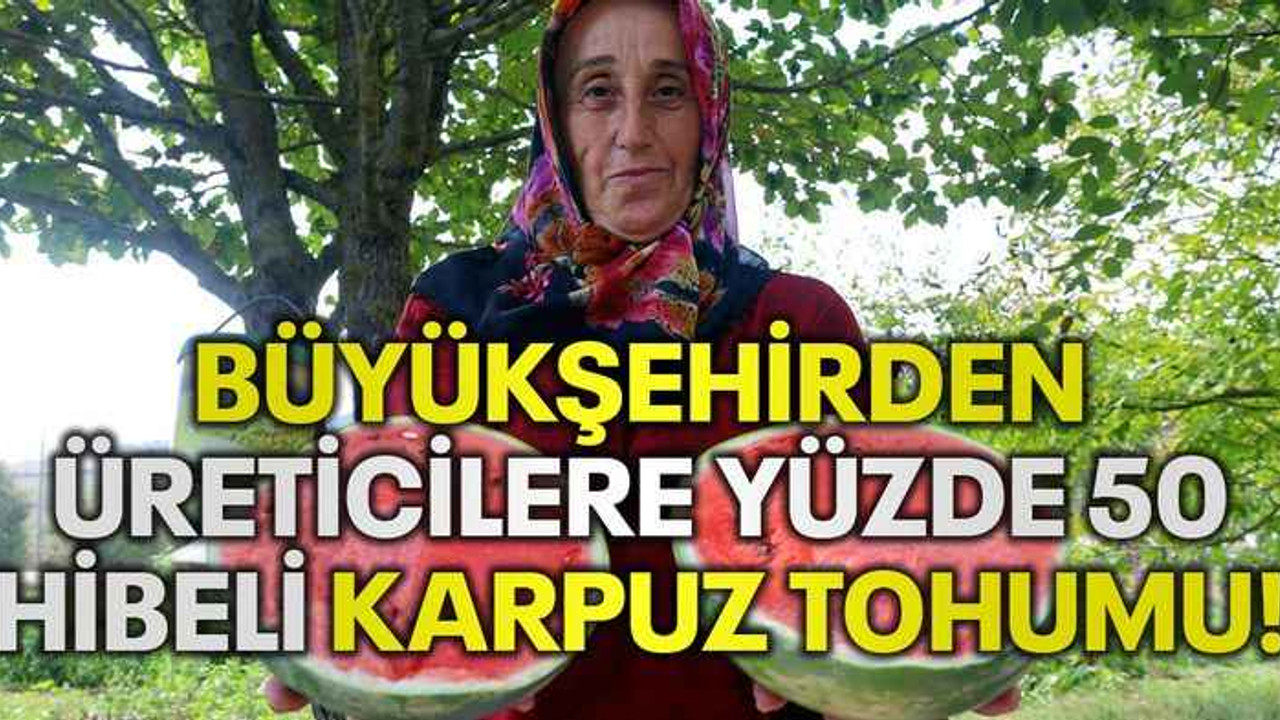 Büyükşehirden üreticilere yüzde 50 hibeli karpuz tohumu!
