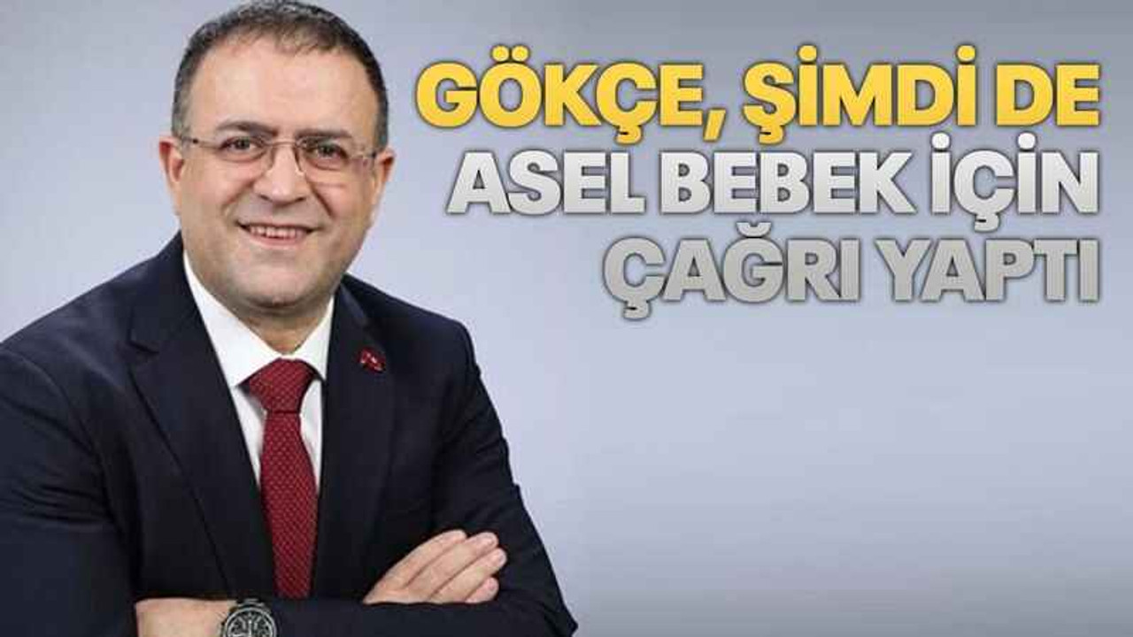 Gökçe, şimdi de Asel bebek için çağrı yaptı