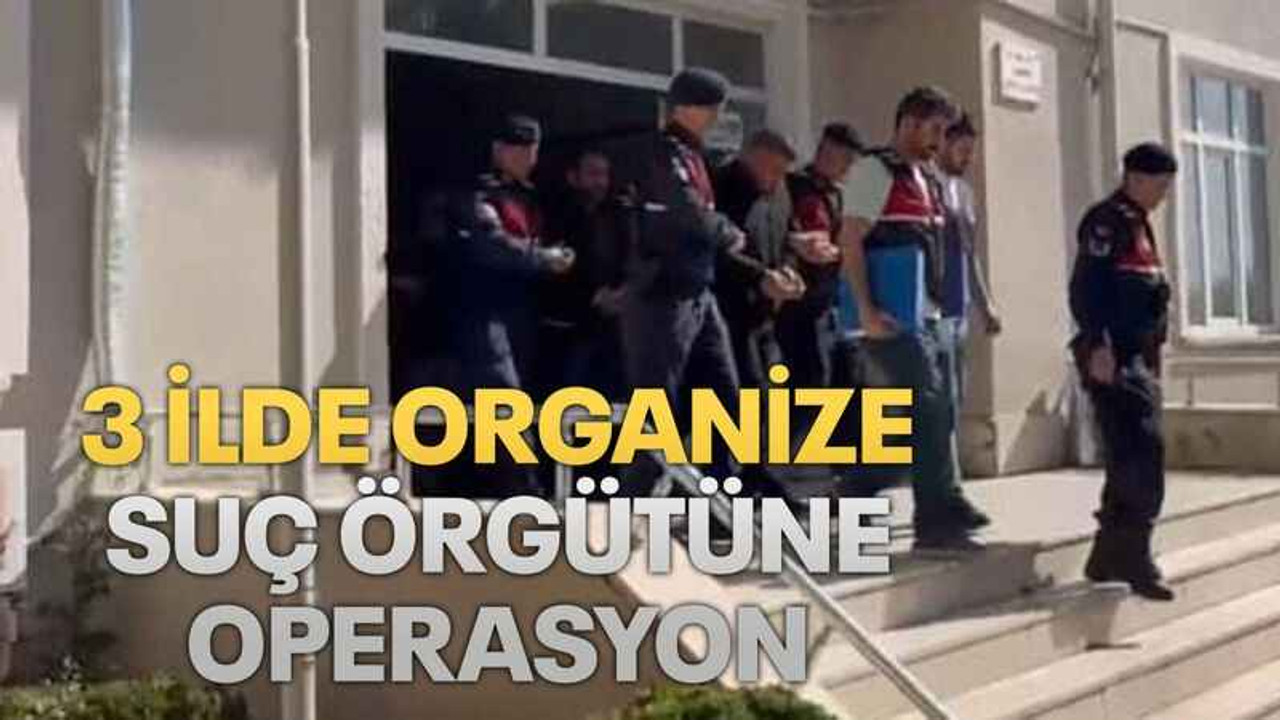 3 ilde Organize suç örgütüne operasyon