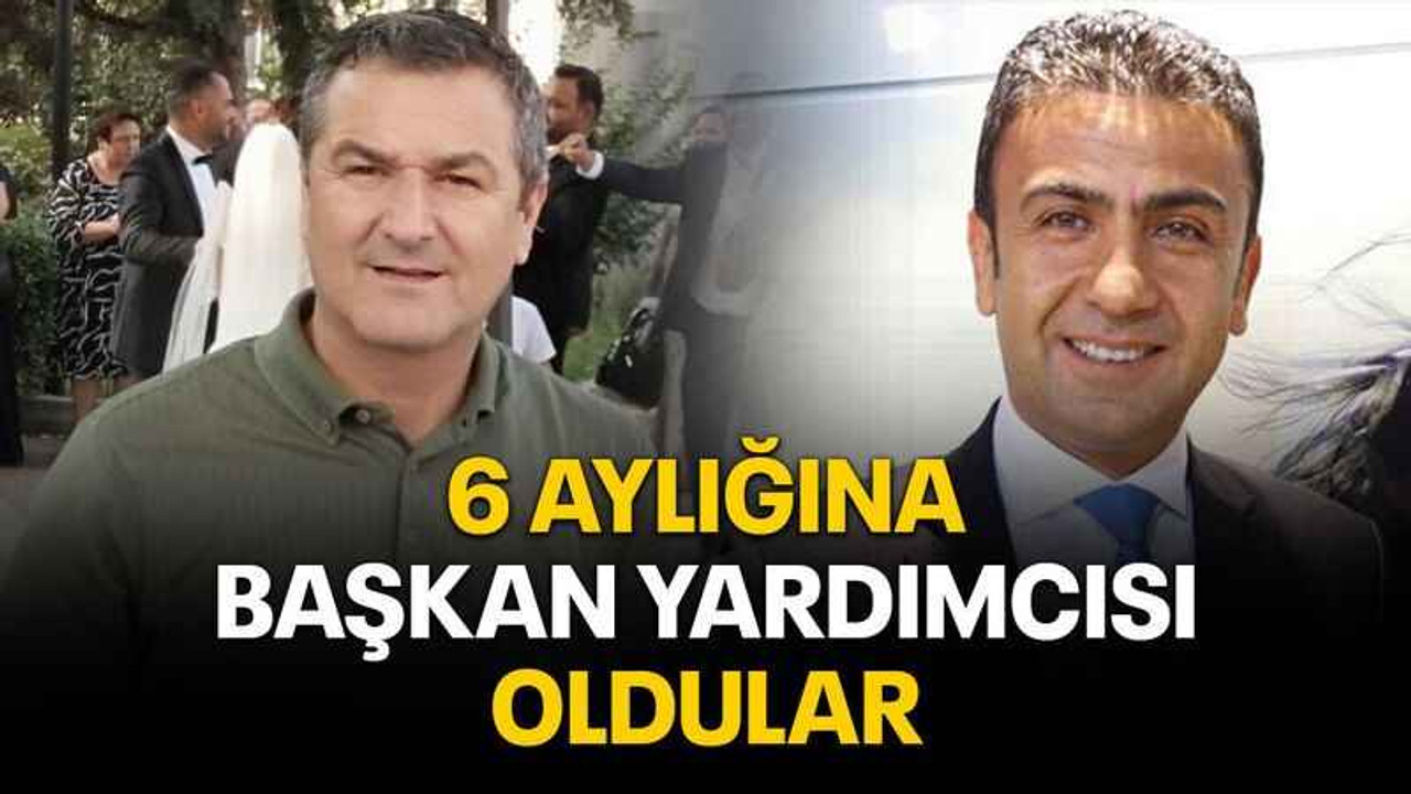 6 aylığına başkan yardımcısı oldular