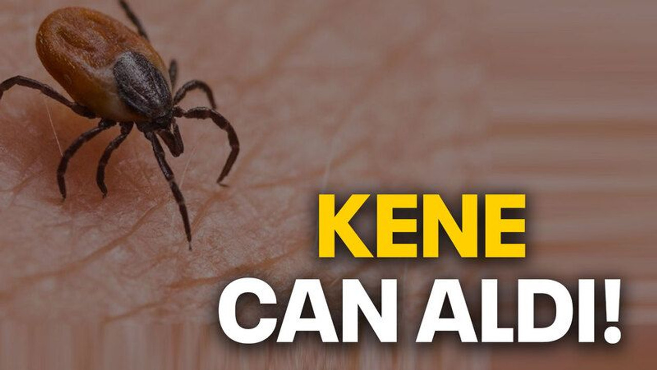 Kenenin ısırdığı şahıs hayatını kaybetti