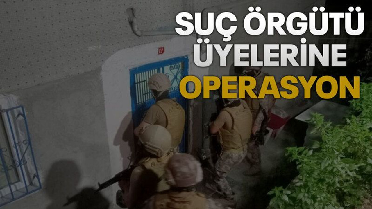 Suç örgütü üyelerine operasyon