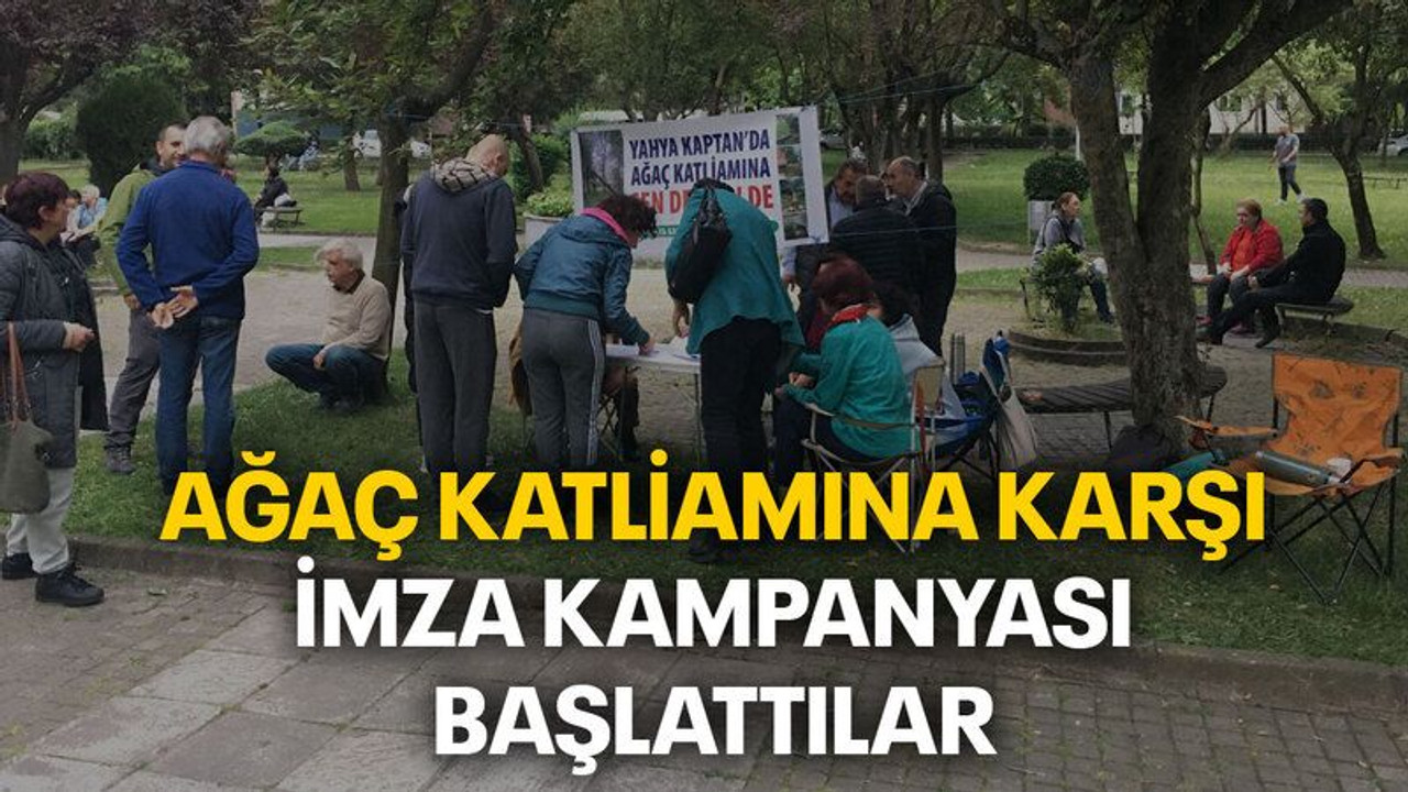 Ağaç katliamına karşı imza kampanyası başlattılar