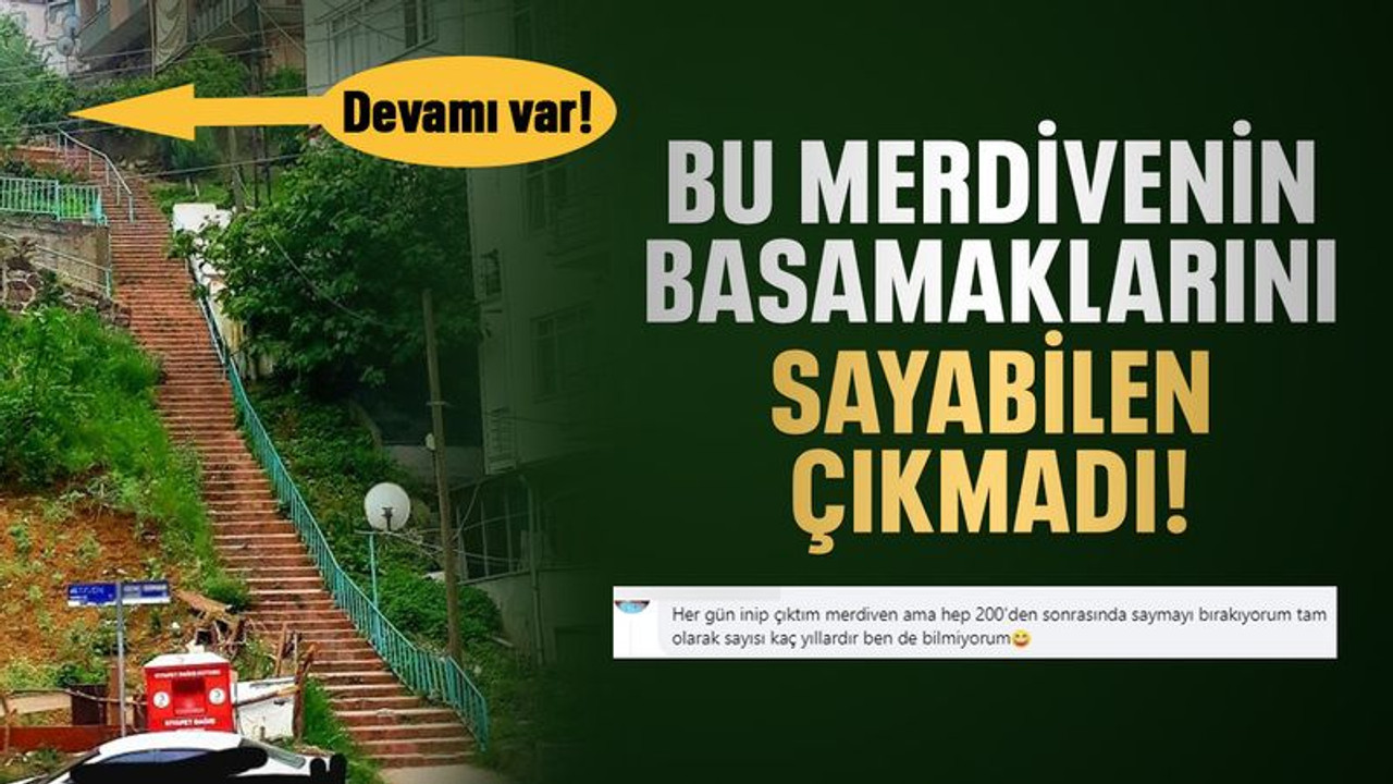 Kocaeli’deki bu merdivenin basamaklarını sayabilen çıkmadı!