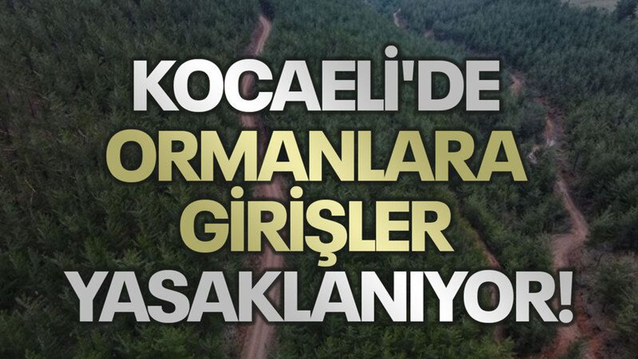 Kocaeli'de ormanlara girişler yasaklanıyor!