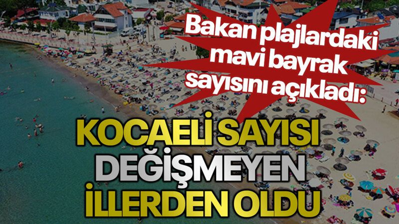 Bakan plajlardaki mavi bayrak sayısını açıkladı: Kocaeli sayısı değişmeyen illerden oldu