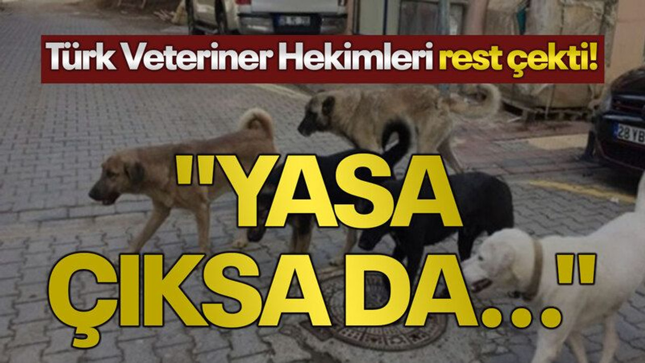 Türk Veteriner Hekimleri rest çekti! "Yasa çıksa da..."