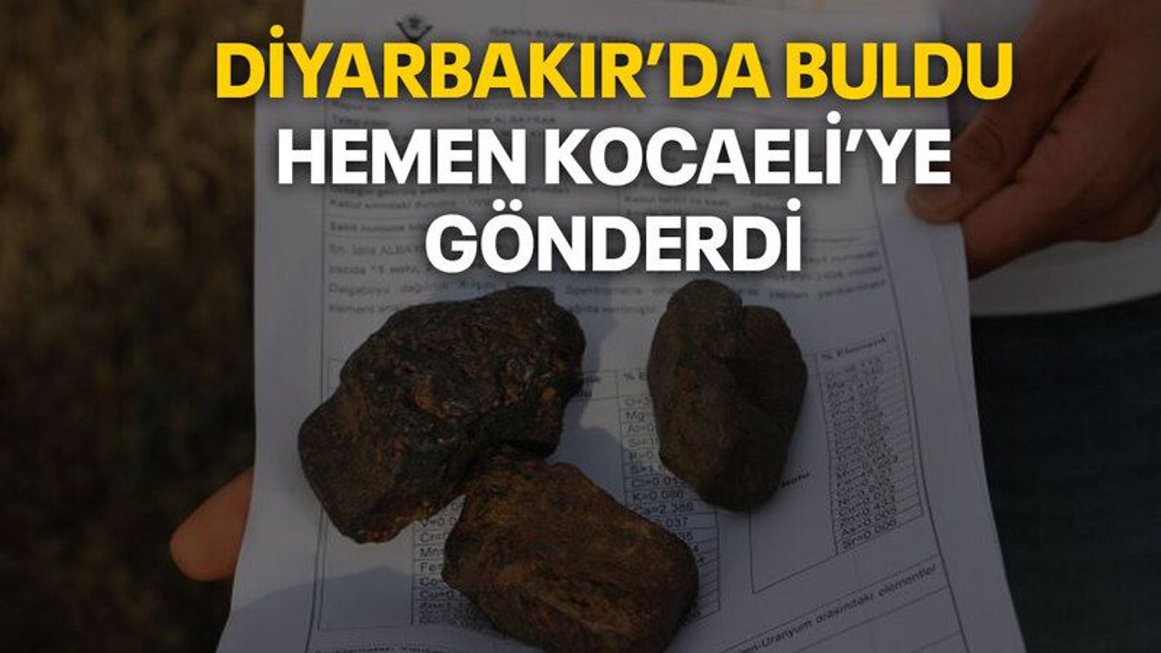 Diyarbakır’da buldu hemen Kocaeli’ye gönderdi