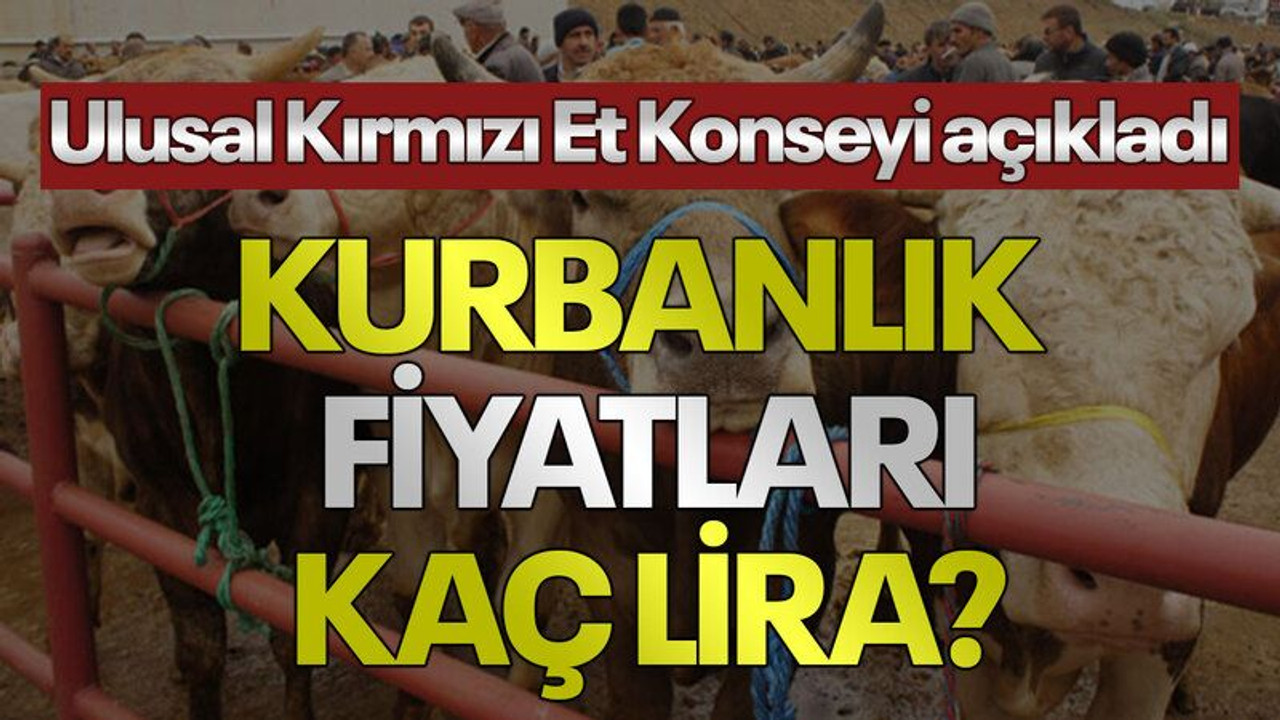 Kurbanlık fiyatları kaç lira? Ulusal Kırmızı Et Konseyi açıkladı