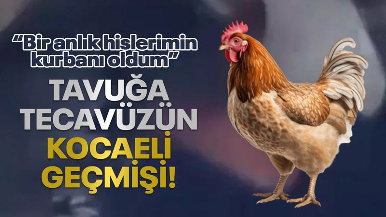 Tavuğa tecavüzün Kocaeli geçmişi! “Bir anlık hislerimin kurbanı oldum”