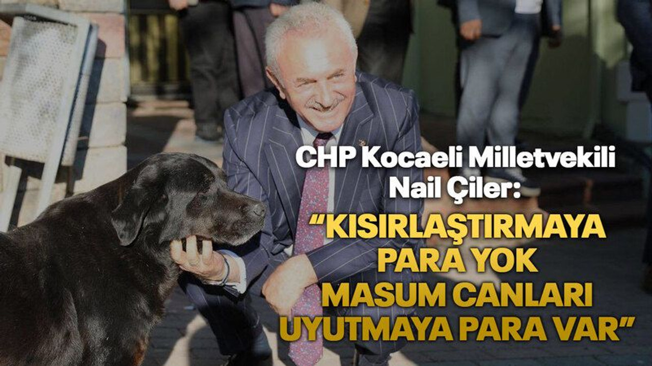 CHP Kocaeli Milletvekili Nail Çiler: “Kısırlaştırmaya para yok masum canları uyutmaya para var”