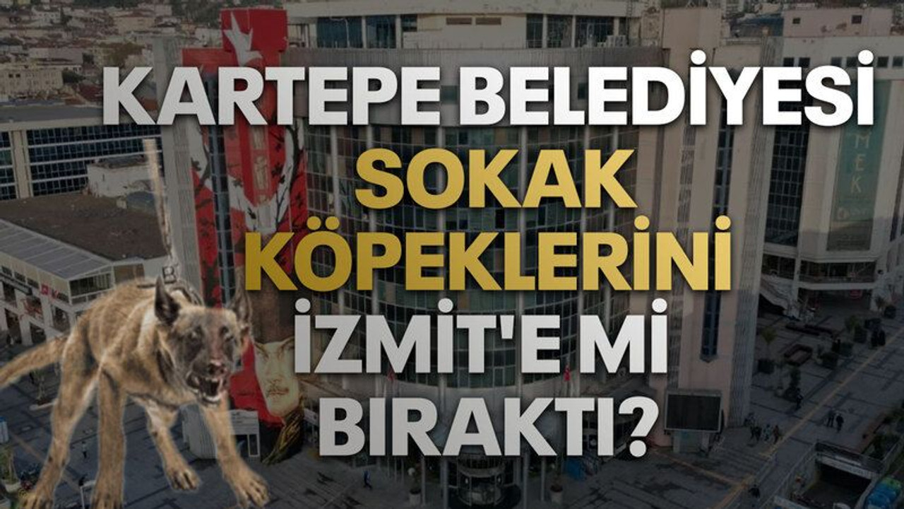 Kartepe Belediyesi sokak köpeklerini İzmit'e mi bıraktı?