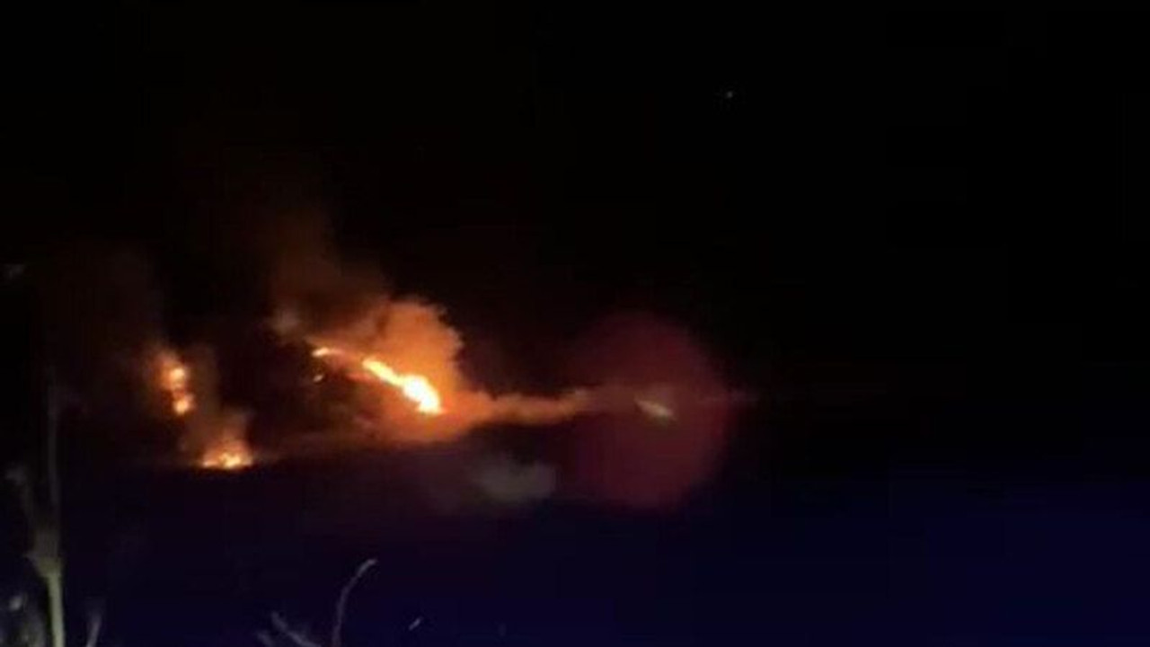 Denizli’de orman yangını