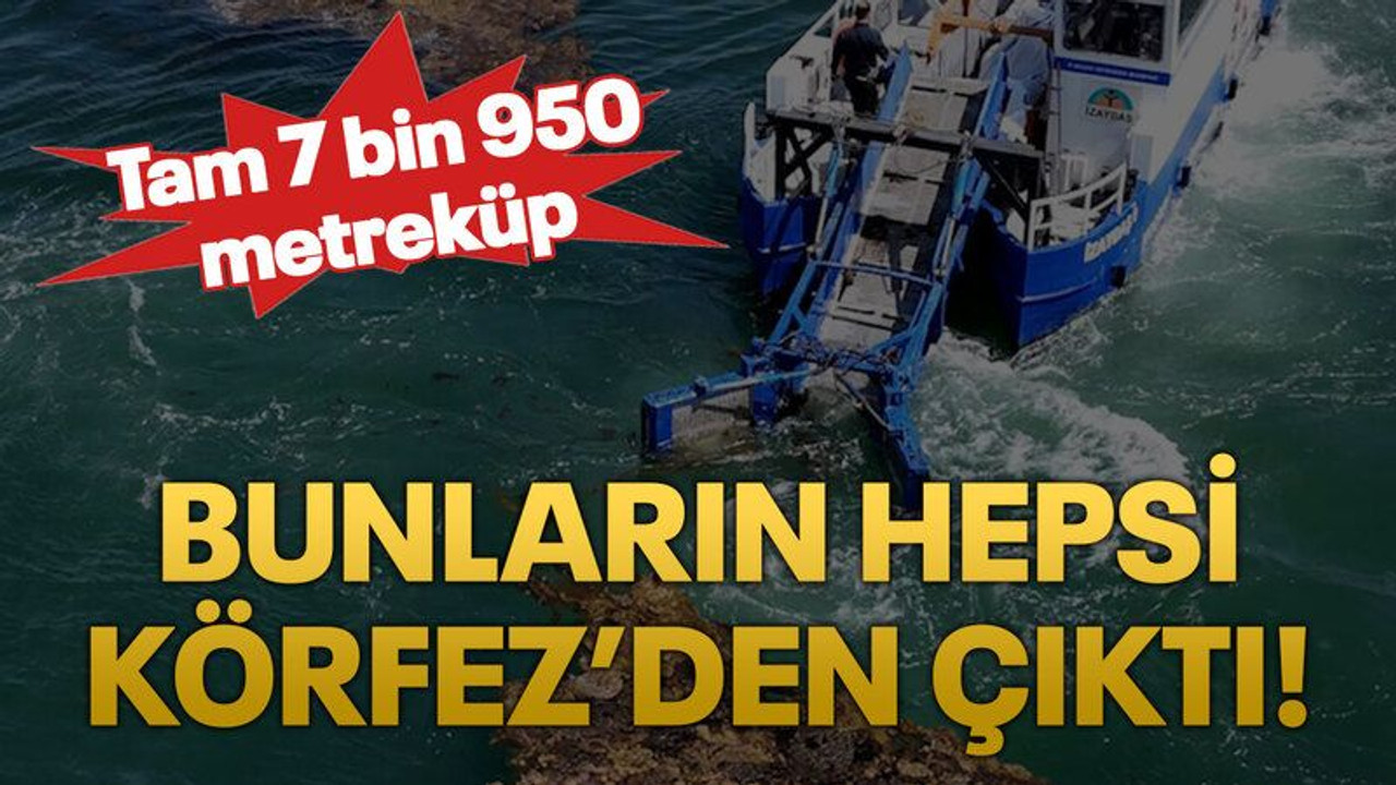 Körfez’den tam 7 bin 950 metreküp deniz çöpü çıktı!