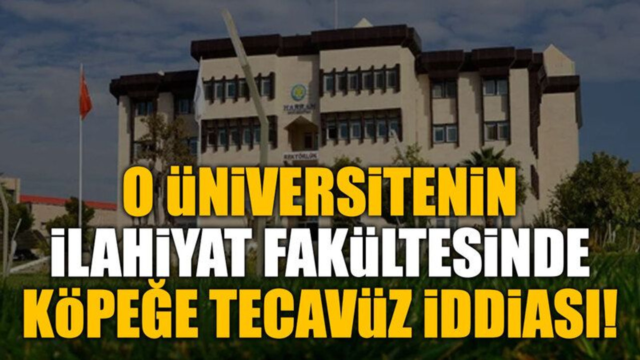 O Üniversitenin ilahiyat fakültesinde köpeğe tecavüz iddiası!
