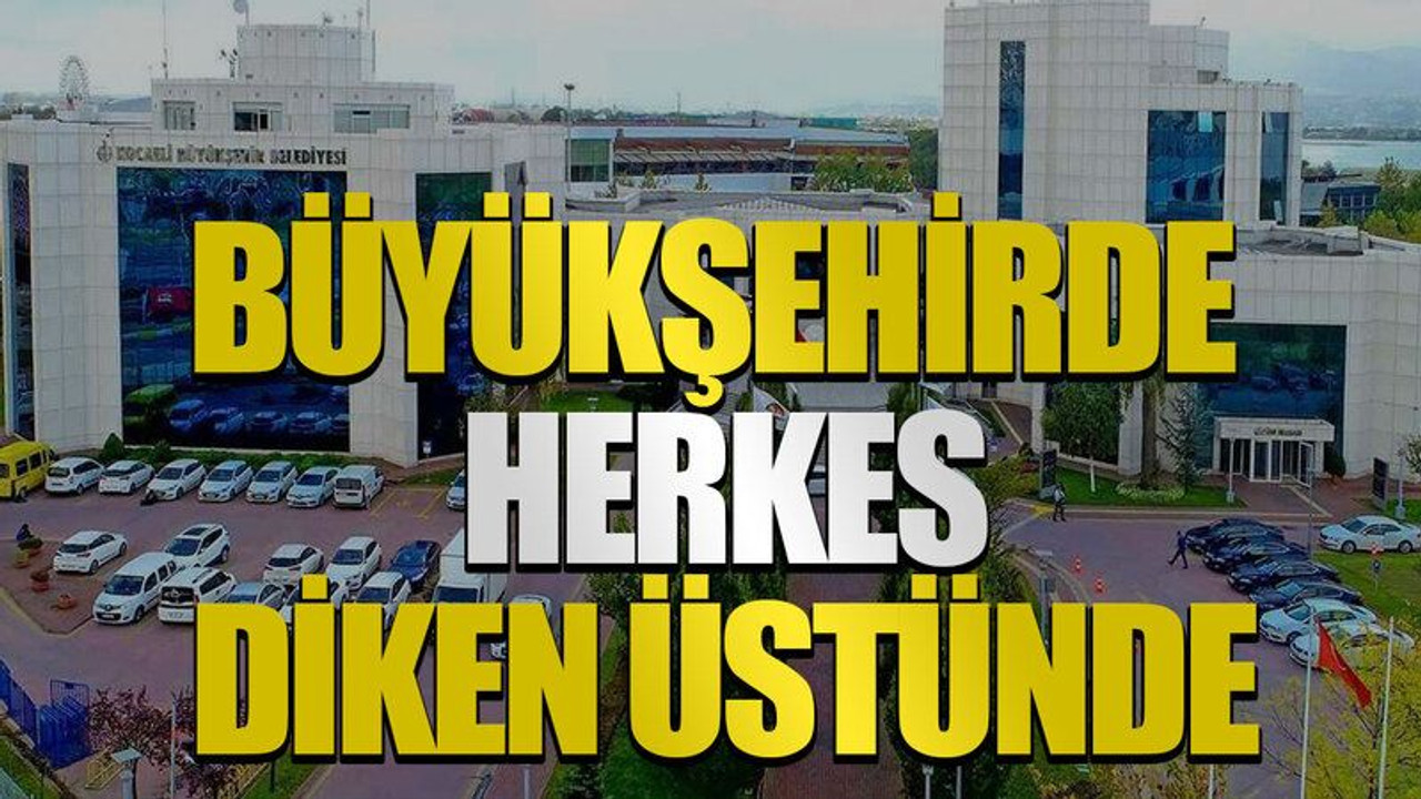 Büyükşehirde herkes diken üstünde
