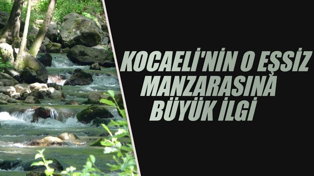 Kocaeli'nin o eşsiz manzarasına büyük ilgi