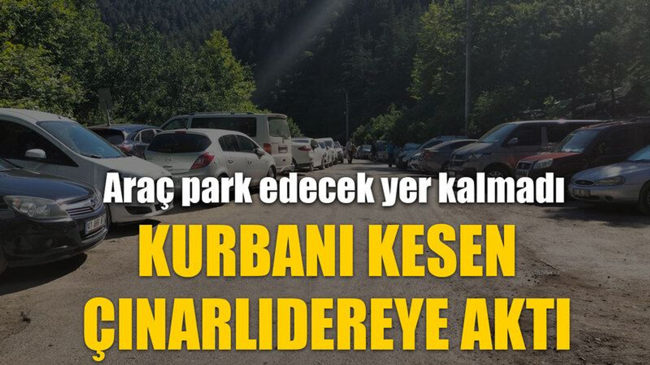 Kurbanı kesen Çınarlıdereye aktı