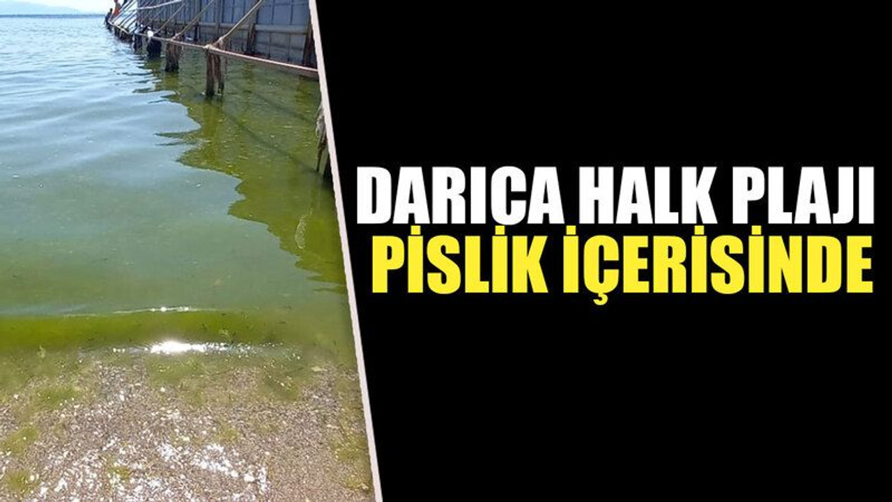 Darıca halk plajı pislik içerisinde