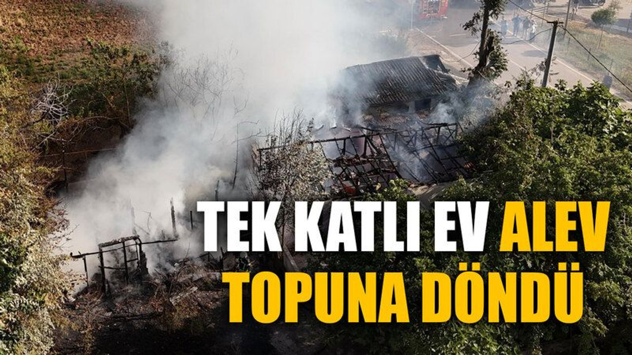 Tek katlı ev alev topuna döndü