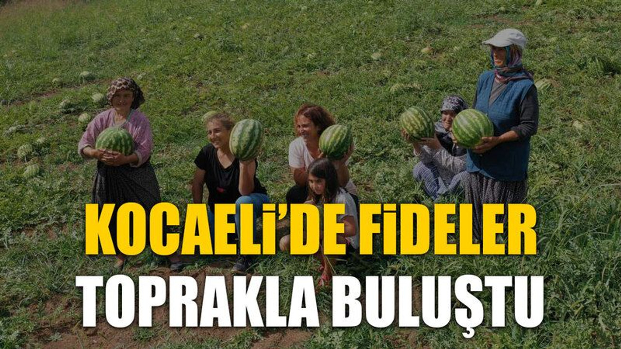 Kocaeli’de fideler toprakla buluştu