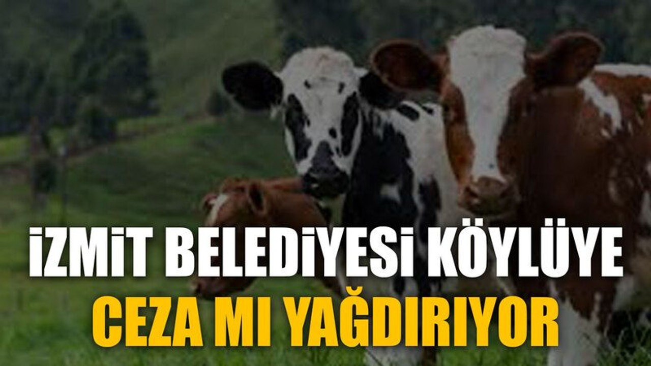 İzmit Belediyesi köylüye ceza mı yağdırıyor