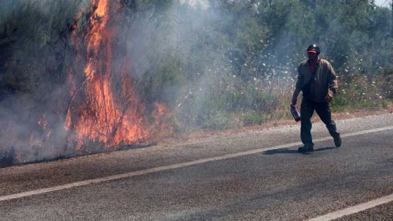 İzmir'de bir yangın daha: İlk müdahale vatandaşlardan