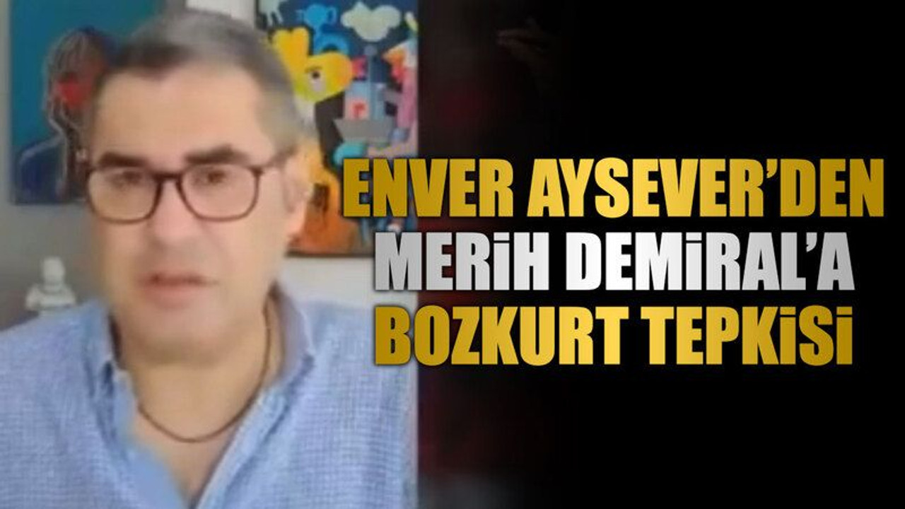 Enver Aysever’den Merih Demiral’a bozkurt tepkisi