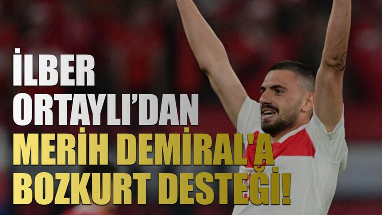 İlber Ortaylı’dan Merih Demiral'a Bozkurt Desteği!