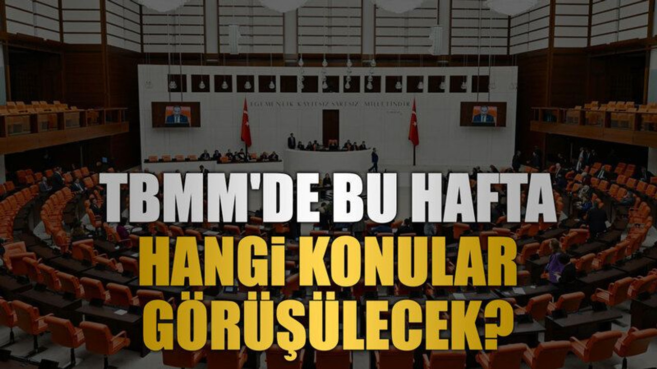 TBMM'de bu hafta hangi konular görüşülecek?