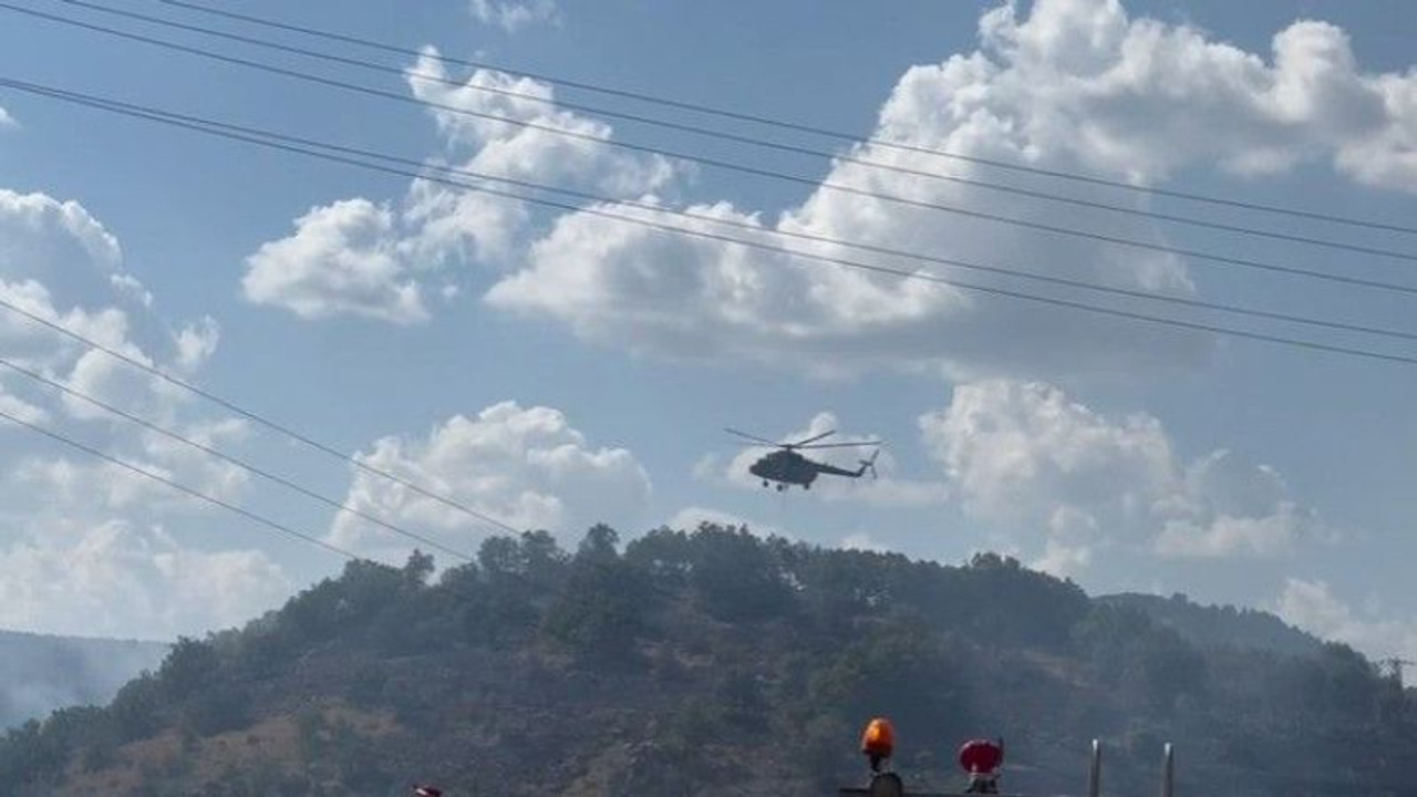 Ankara'da orman yangını