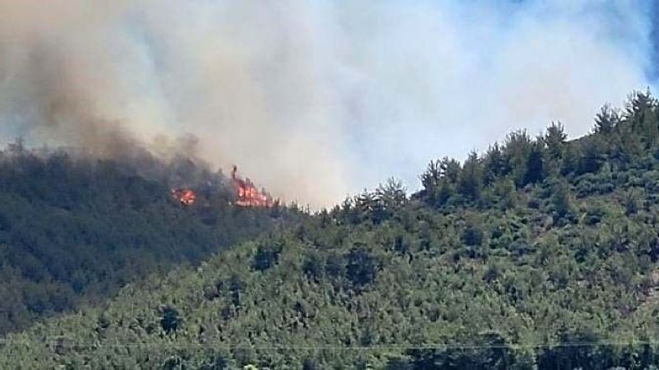 Hatay’da orman yangını