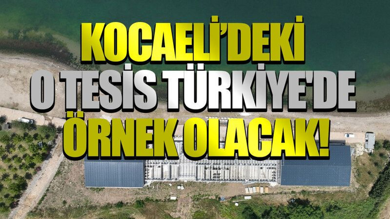 Kocaeli'deki o tesis Türkiye'de örnek olacak!