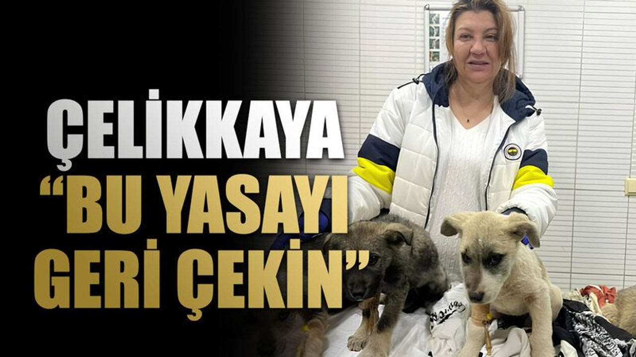 Çelikkaya“Bu yasayı geri çekin”
