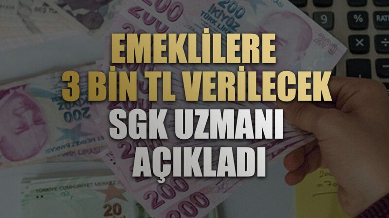 Emeklilere 3 bin TL verilecek. SGK uzmanı açıkladı