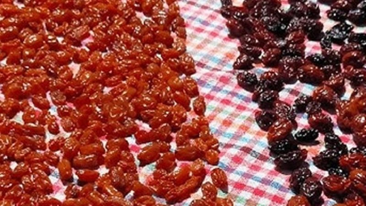 Yaş hasadı ülke genelinde başladı. Ancak kurusundan 1 avuç yemek çok daha iyiymiş