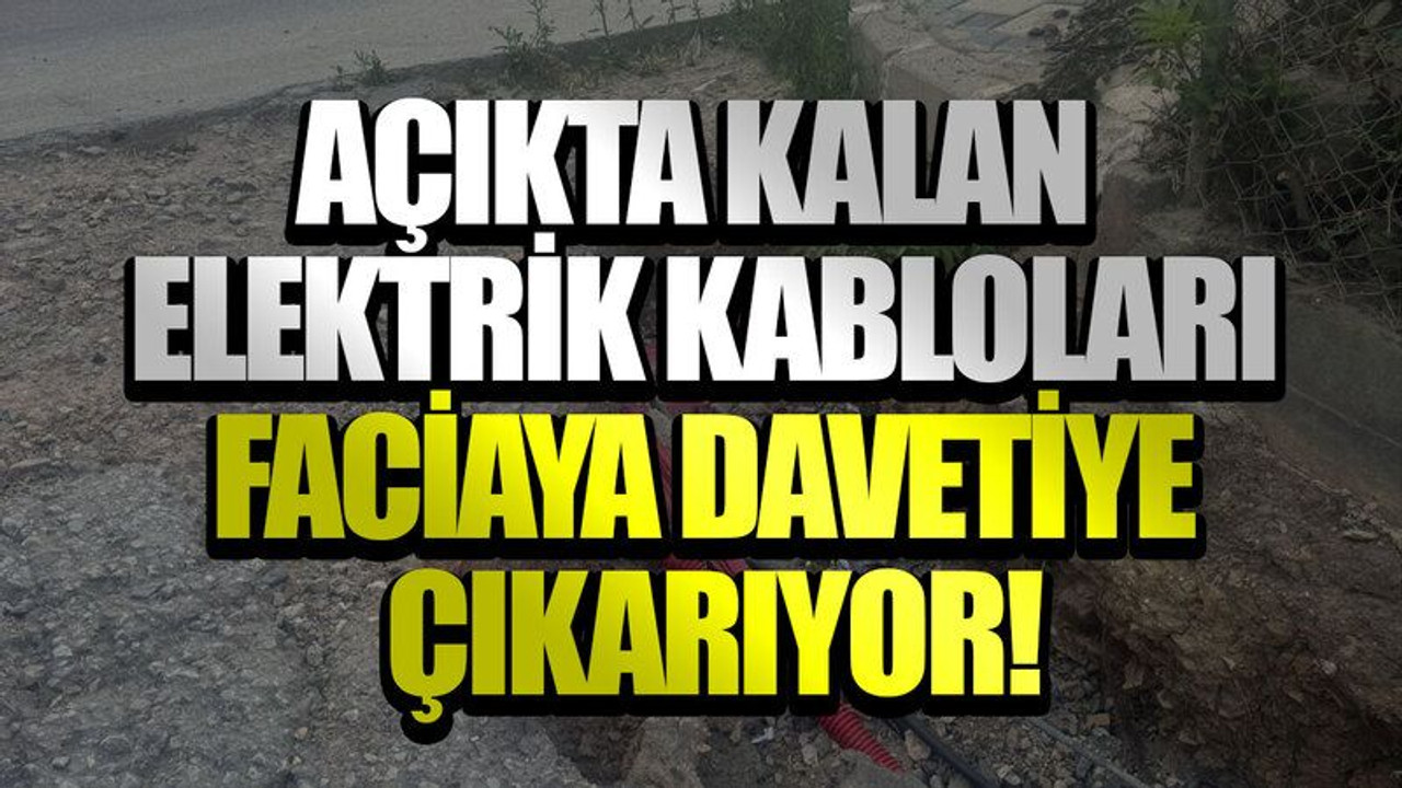 Açıkta kalan elektrik kabloları faciaya davetiye çıkarıyor!